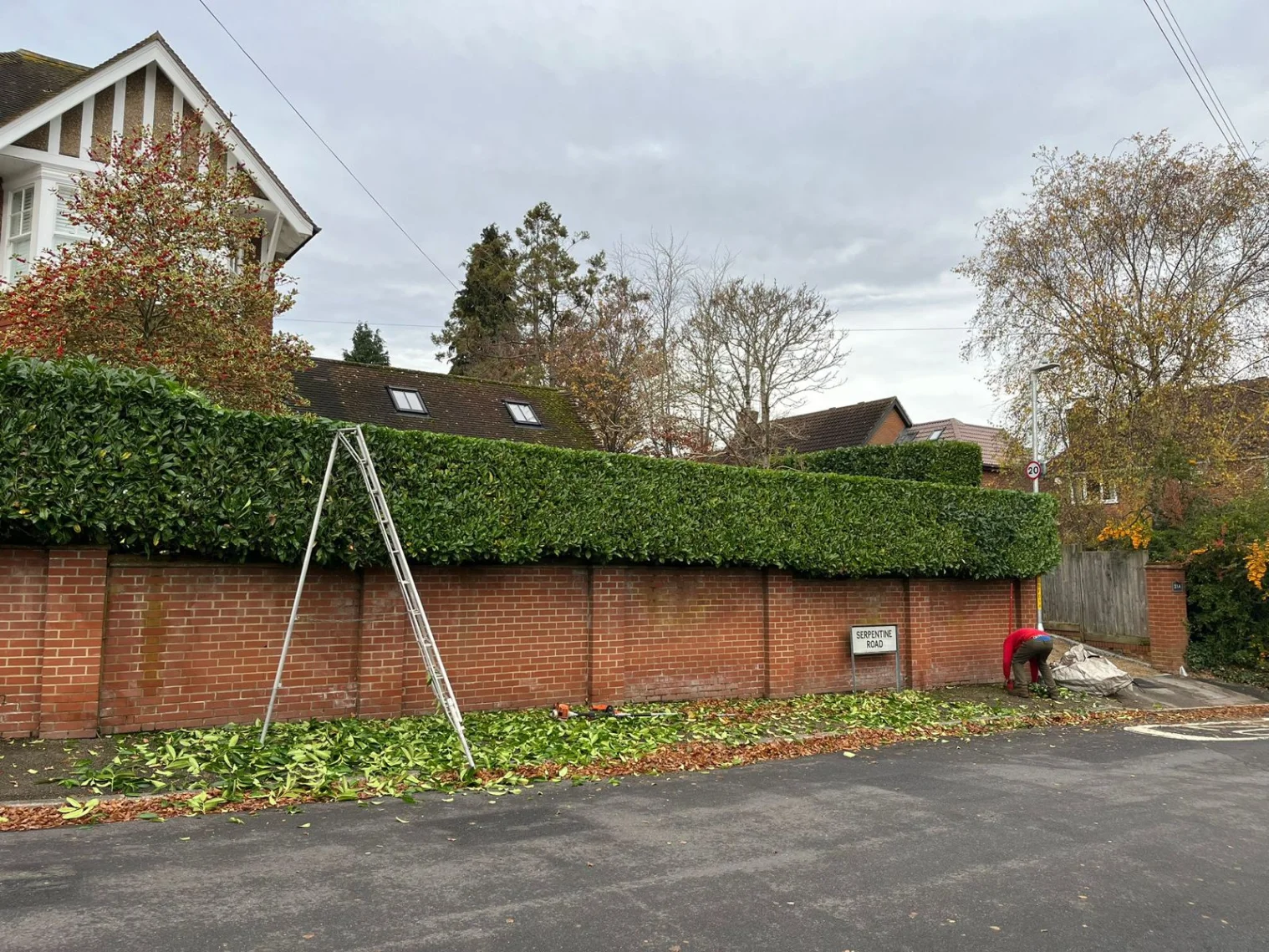 Garden Maintenance Project